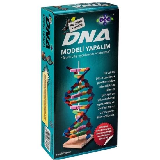 DNA Modeli Yapalım Deney Seti